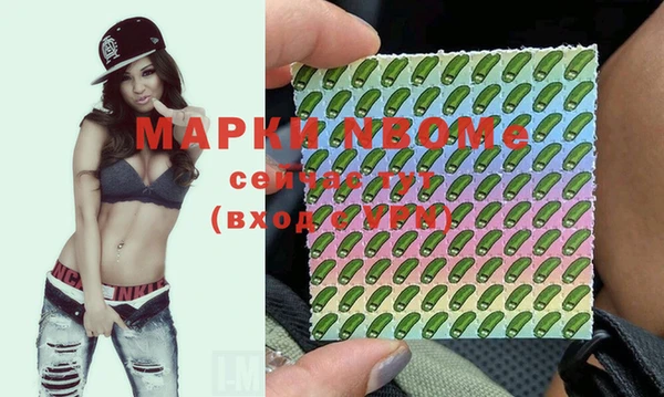 PSILOCYBIN Алзамай
