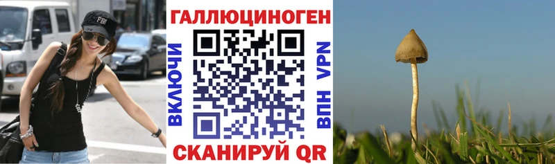 Галлюциногенные грибы GOLDEN TEACHER  Покачи 