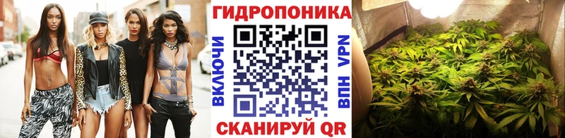 как найти наркотики  Покачи  Канабис ГИДРОПОН 